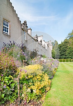 Perennial border