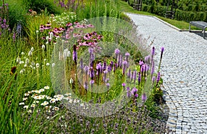 Perennial flower bed with a predominance of purple in the garden and parks with bulbs