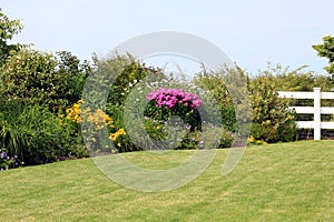 Perennial garden photo