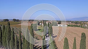 Perfect aerial view flight drone Landscape Autumn Tuscany Cypress Alley Italy