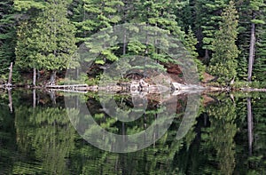 Perfect Algonquin Reflection