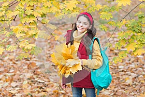 Perfect autumn day of cheerful kid with school bag and maple leaves arrangement walking in fall season park in good