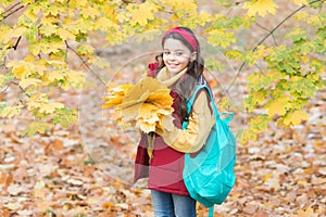 Perfect autumn day of cheerful kid with school bag and autumn maple leaves arrangement walking in fall season park in