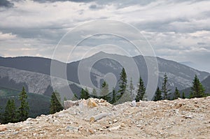 Muted colors mountain panorama, view through pine forest, foggy day, Tatra Mountain, Slovakia