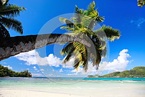 Perfect beach in Seychelles