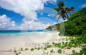 Perfect beach in Seychelles