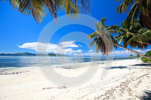 Perfect beach in Seychelles