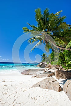 Perfect beach in Seychelles