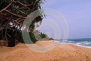 Uncrowded, beautiful beach in Sri Lanka. photo
