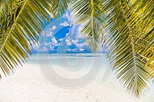 Perfect beach view. Summer holiday and vacation design. Inspirational tropical beach, palm trees and white sand. Tranquil scenery