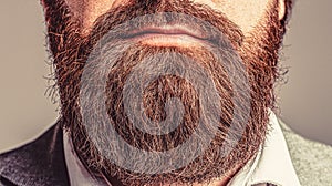 Perfect beard. Close-up of young bearded man. Close up of handsome beard hipster elegant male