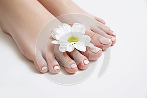 Perfect beige pedicure on white background