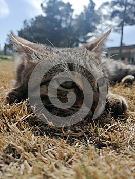 Perfect click at perfect time