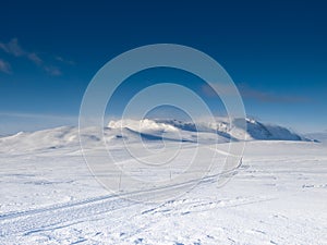 Perfect crosscountry tracks