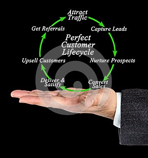 Perfect Customer Lifecycle