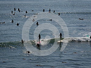 Perfect day for beginner surfers