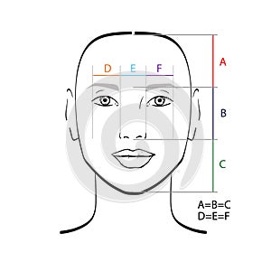 Perfect face proportions.