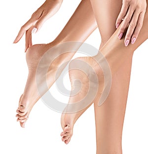 Perfect female feet with smooth skin.