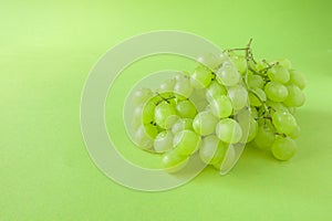 Perfect Fresh Green Grapes Isolated on green Background