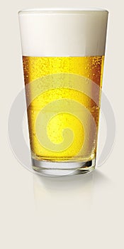 Perfect glass of beer