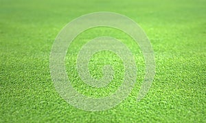 perfect Golf green lawn turf