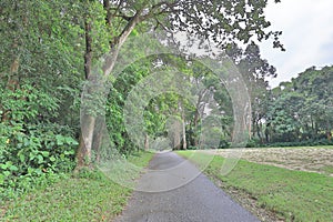 a Perfect grass golf course field hk