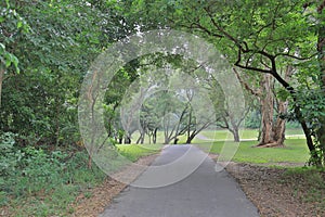 a Perfect grass golf course field hk