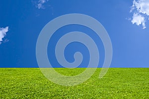 Perfect Grass and Sky Background