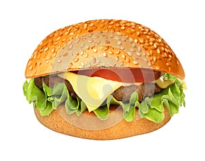 Perfect hamburger classic burger american cheeseburger isolated