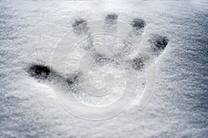 Perfect hand print in fresh snow, with blurred background of lake and mountain