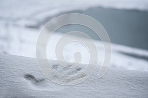 Perfect hand print in fresh snow, with blurred background of lake and mountain