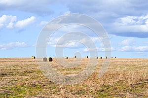 Perfect Harvest Landscape