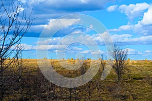 Perfect Harvest Landscape