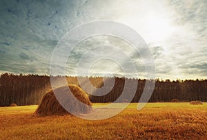 Perfect harvest landscape with straw bales amongst fields