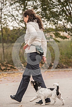 Perfetto giovane il cane 