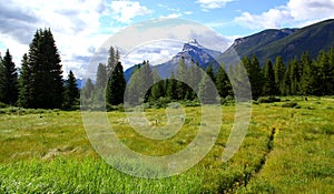 Perfect for hiking: Beautiful canadian landscape: Travelling the Icefields Parkway near Lake Louise