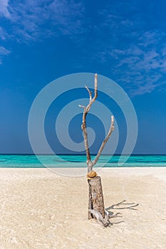 Perfect isolated island surrounded by a blue water sea, traditional hat in a tree and blue sky. Feeling of paradise, freedom, libe