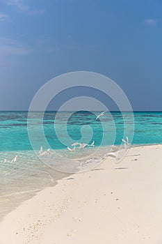 Perfect isolated island surrounded by a blue water sea, traditional hat in a tree and blue sky. Feeling of paradise, freedom, libe