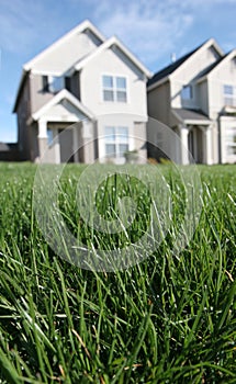 Perfect Lawn photo