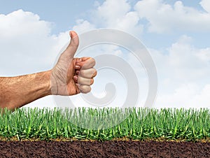 Perfect Lawn photo