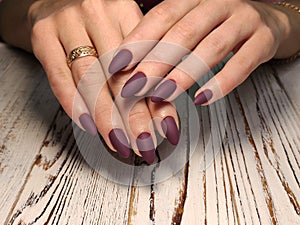 Perfect manicure gel art polish fashion design clean hand woman closeup