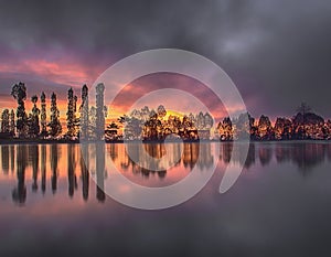 Perfect nature reflection on beautiful trees with colorful sky at sunrise