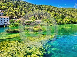 A perfect neighbourhood. One of the many ponds in summer. Bright morning river scene. Waterfall mountain view close up. Summer