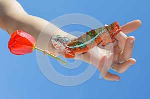 Perfect panther chameleon