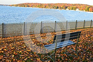 A Perfect Place to Sit, Fall Colors, Park Bench