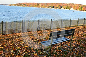 A Perfect Place to Sit, Fall Colors, Park Bench photo