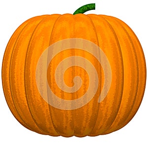 Perfect Pumpkin