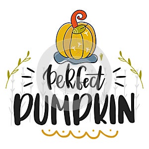 Perfect pumpkin. Hand drawn vector illustration. Autumn color poster. Good for scrap booking, posters, greeting cards, banners, te