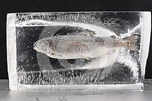 Perfect raw frozen fish in a clear modeling ice cube on a black background