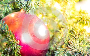 The perfect red metallic ball ornament hanging on the christmas tree and preparing for decorated for the Celebrate with the